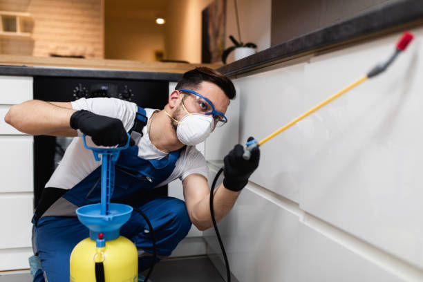 Best Ant Control Services  in Alamo Heights, TX